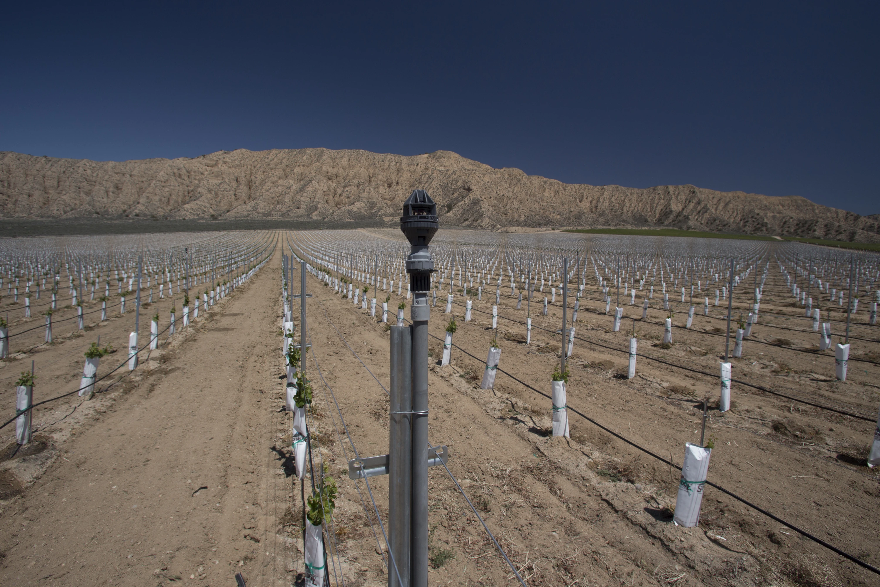 Nelson R2000 Rotator R2000 Rotator® from Nelson Irrigation