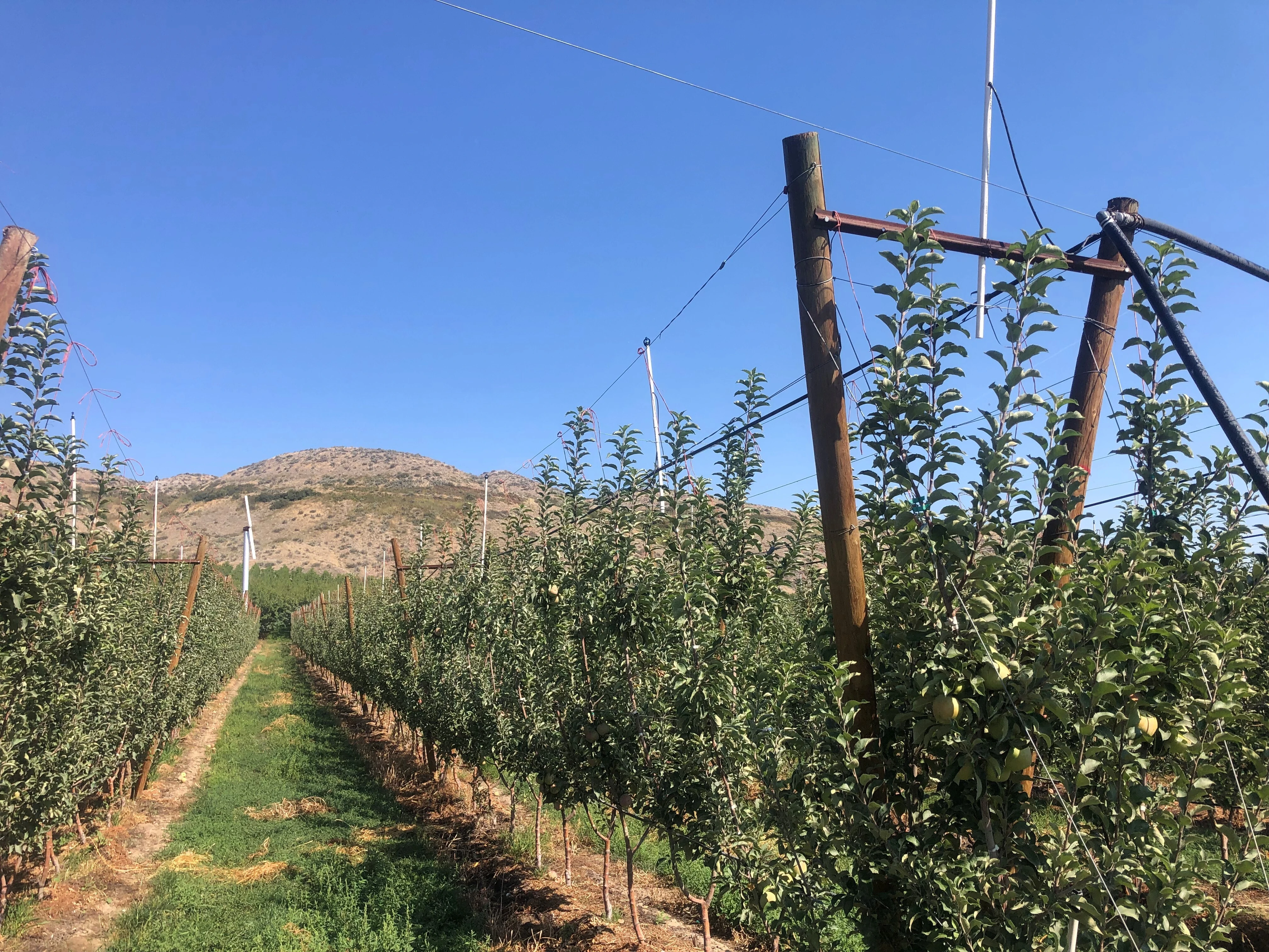 Monitoring & Control Systems from Nelson Irrigation